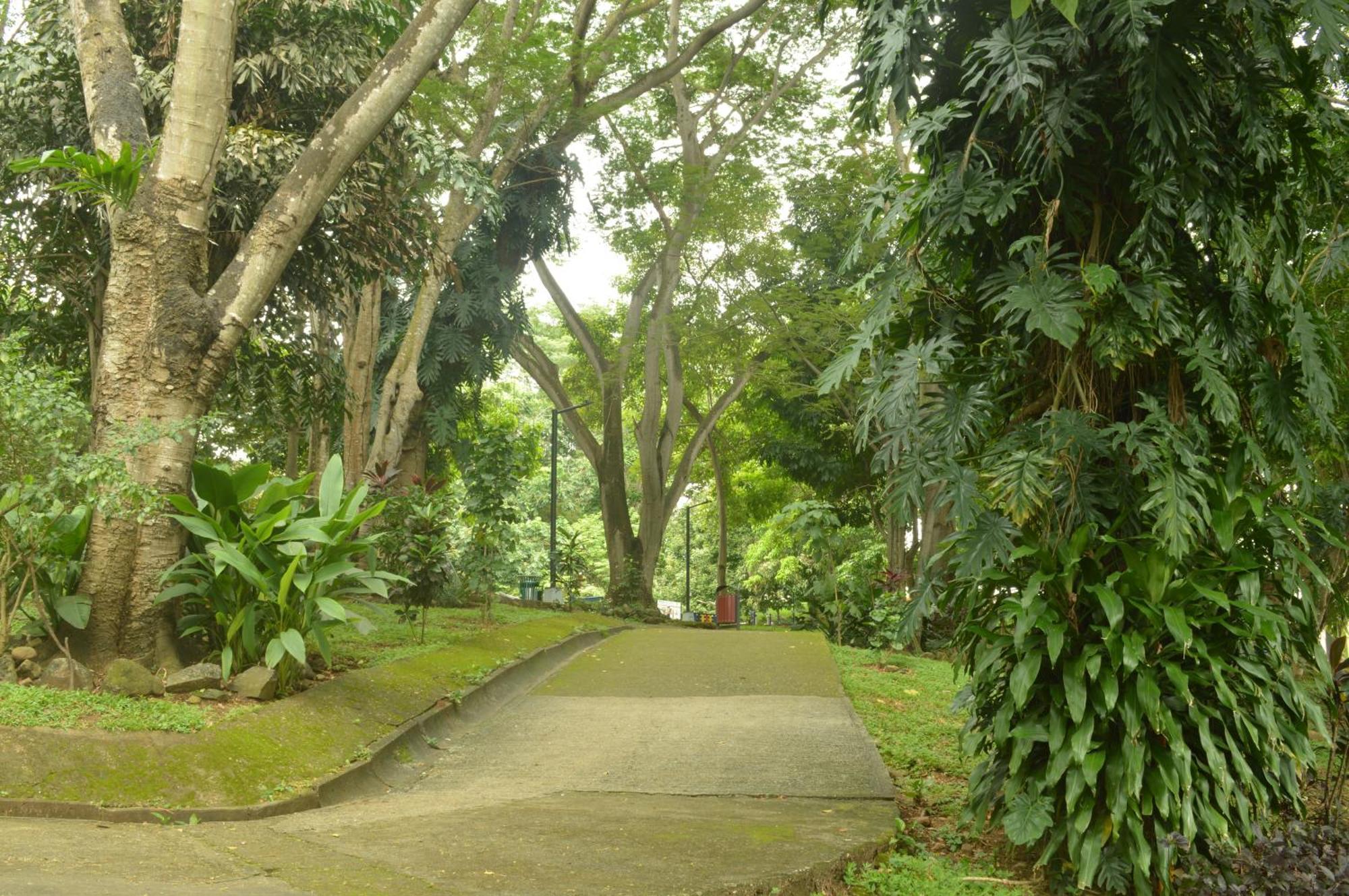 Totumas Lodge ปานามาซิตี้ ภายนอก รูปภาพ